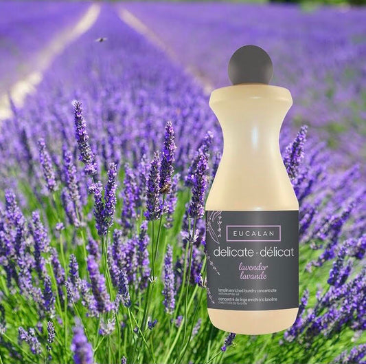 eucalan   Lavender
