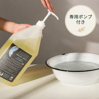 專業（4L）
