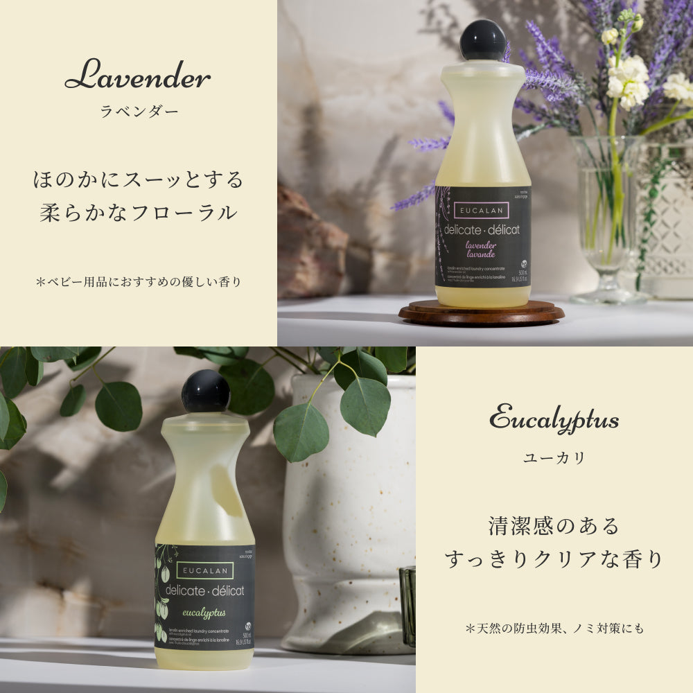 プロフェッショナル（4L）
