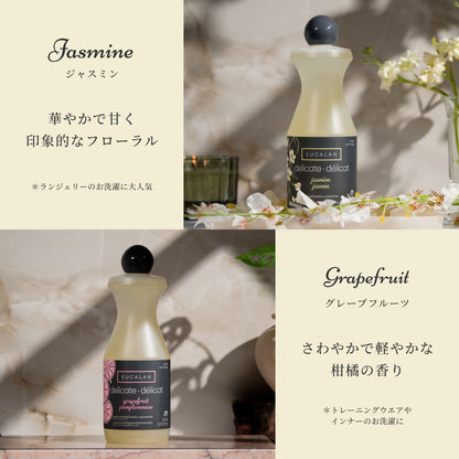 プロフェッショナル（4L）